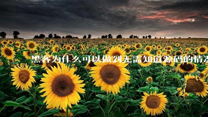 黑客为什么可以做到无需知道源码的情况下找出系统漏洞？