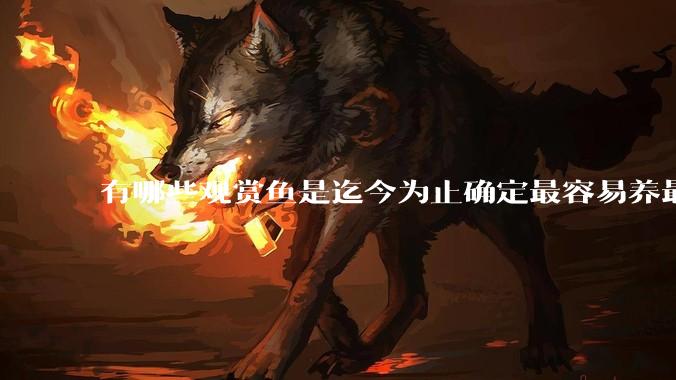 有哪些观赏鱼是迄今为止确定最容易养最不容易死的？