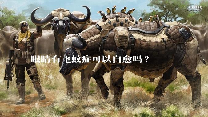 眼睛有飞蚊症可以自愈吗?