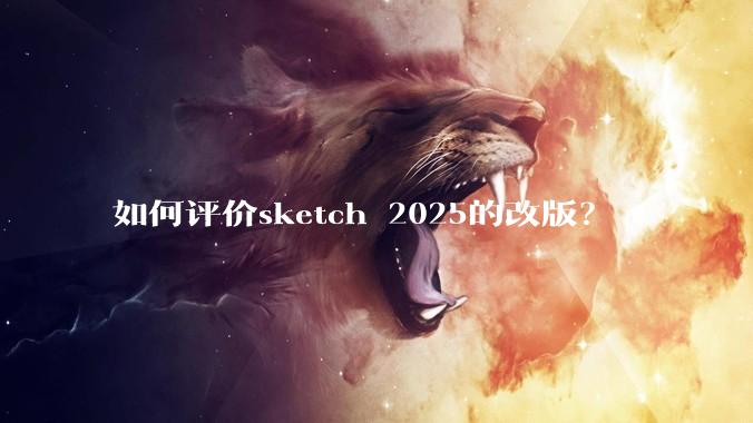 如何评价sketch 2025的改版？