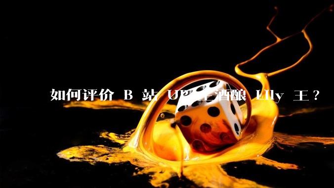 如何评价 B 站 UP 主酒酿 Lily 王?