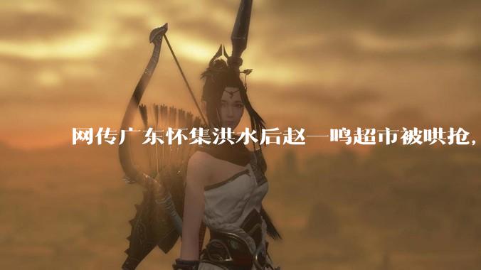 网传广东怀集洪水后赵一鸣超市被哄抢，县***回应相关单位正在核实，若属实哄抢者该承担哪些法律责任？