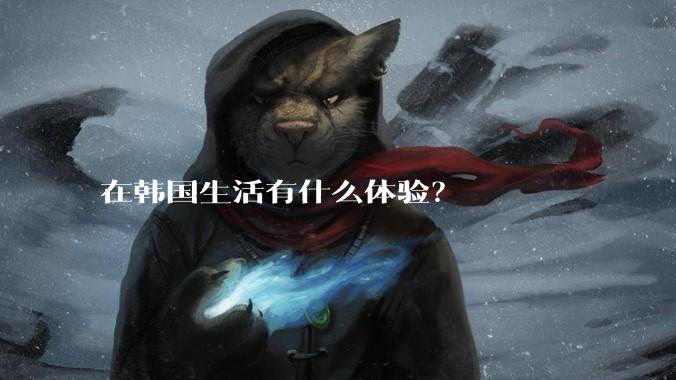 在韩国生活有什么体验？